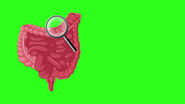 Human intestines examined by a small camera on a green screen background.