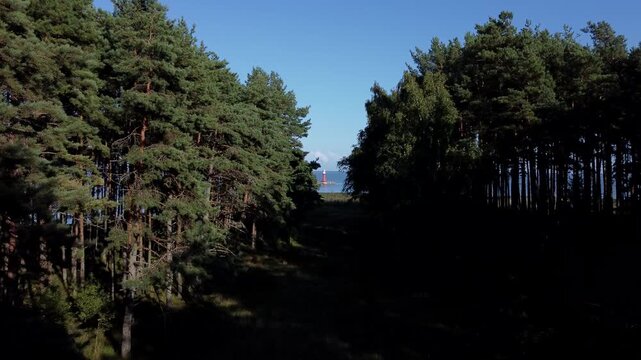 Aerial Flight through the forest towards the lighthouse in Pervalka, Lithuania