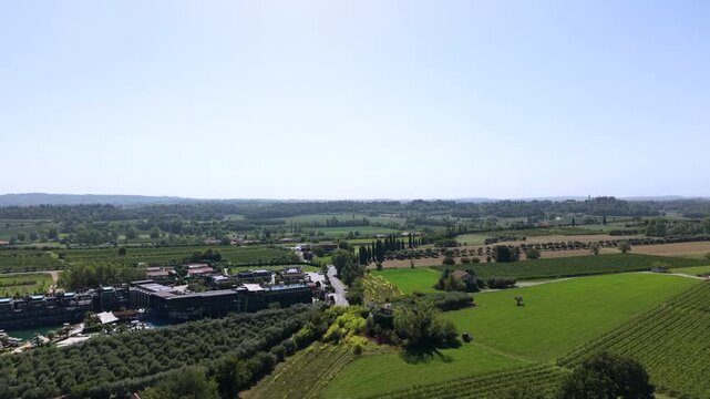 Rows of vineyards spread across sunlit countryside near Lake Garda, Italy, olive groves and low industrial buildings line green valley beneath clear blue afternoon sky. Aerial drone rising wide shot