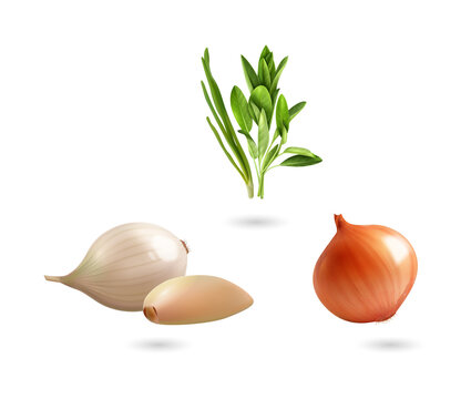 Onions and green onions isolated on transparent background