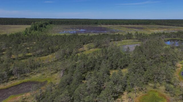 Panoramic drone rotation revealing peat bog ponds, wetlands and vast forest landscape in Estonia, with pristine wilderness stretching toward the horizon.