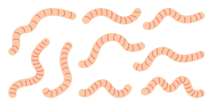 Set of worms. Hand drawn vector flat. Garden animal. Wild life underground. Slimy body. Invertebrate. Colored illustration.