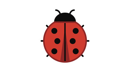 Fototapeta premium A simple, flat illustration of a red ladybug with black spots and antennae on a white background.