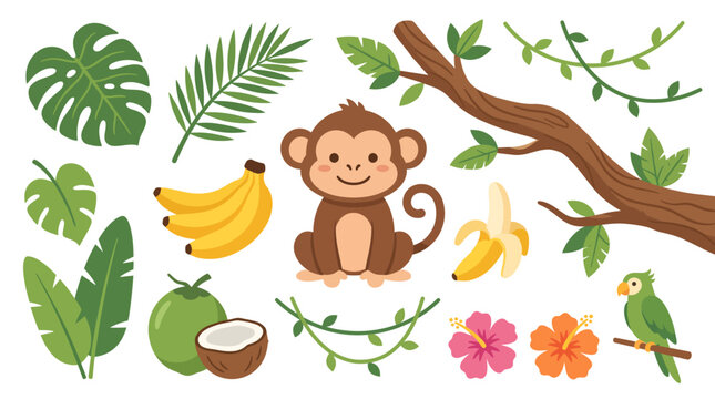 Cute monkey and tropical jungle elements vector collection