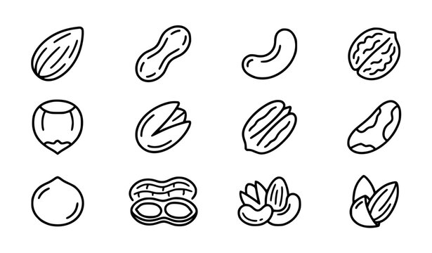 Nuts line art almond peanut cashew and mixed nut vector icon set