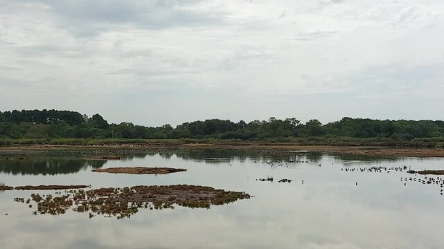 Zone naturelle du Teich - Gironde - Nouvelle Aquitaine
