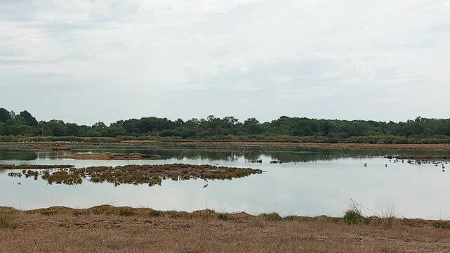 Zone naturelle du Teich - Gironde - Nouvelle Aquitaine