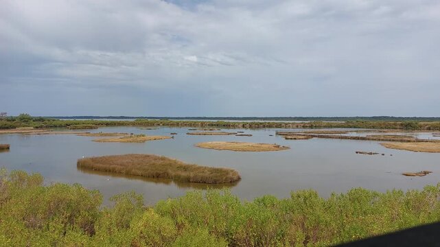 Zone naturelle du Teich - Gironde - Nouvelle Aquitaine