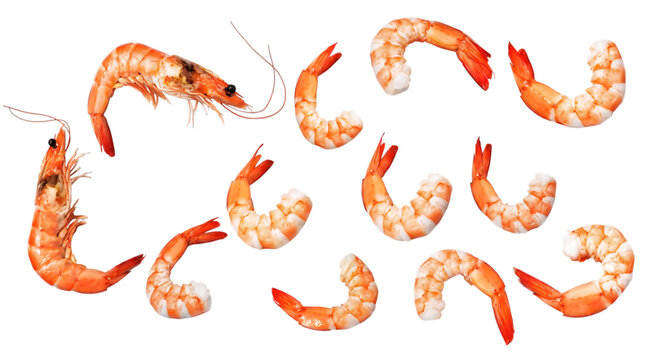 Set of cooked king prawns and peeled shrimps isolated on transparent background