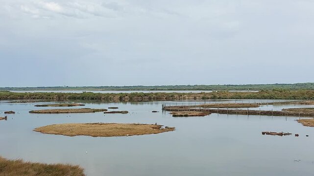 Zone naturelle du Teich - Gironde - Nouvelle Aquitaine