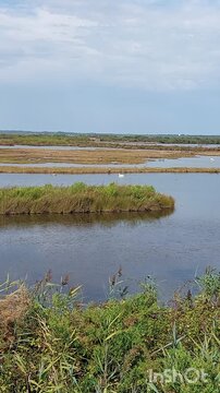Zone naturelle du Teich - Gironde - Nouvelle Aquitaine
