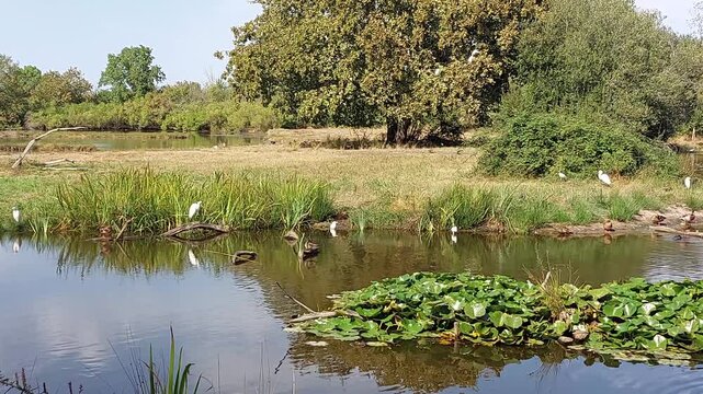 Zone naturelle du Teich - Gironde - Nouvelle Aquitaine