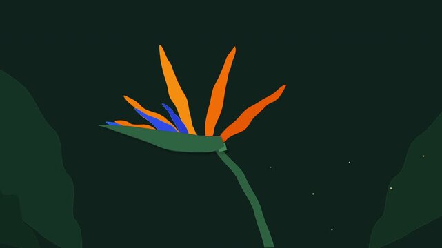 Digital pixel art bird of paradise flower blooming in dark jungle night, abstract flora motion graphic