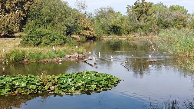 Zone naturelle du Teich - Gironde - Nouvelle Aquitaine