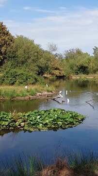 Zone naturelle du Teich - Gironde - Nouvelle Aquitaine