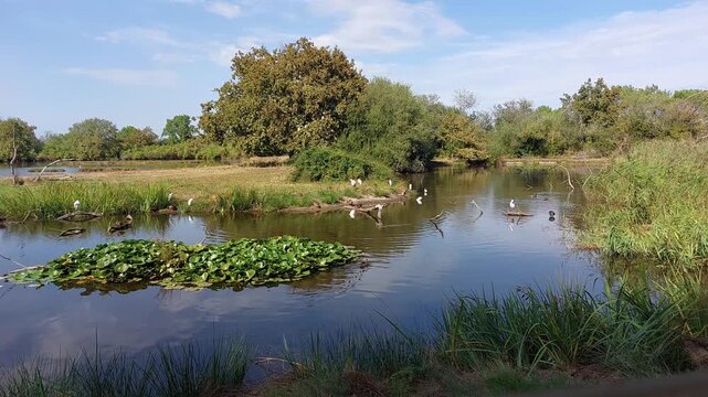 Zone naturelle du Teich - Gironde - Nouvelle Aquitaine