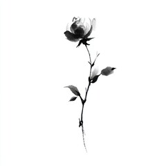 Obraz premium Minimalist black ink illustration of a single rose on a white background.