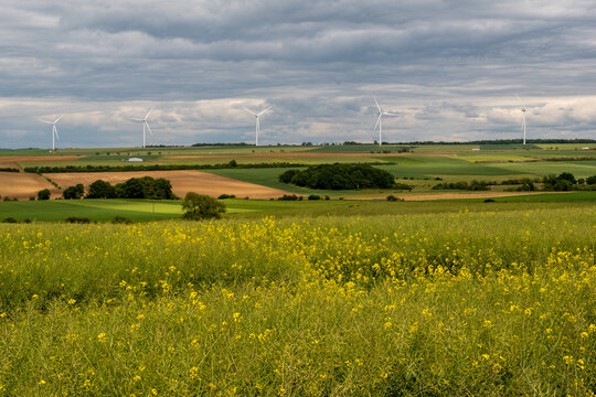 Parc d'&eacute;oliennes install&eacute; au milieu d'un paysage agricole compos&eacute; de champs et de prairies sous un ciel nuageux.