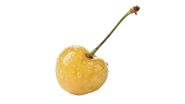 Single fresh yellow sweet cherry with stem on transparent background