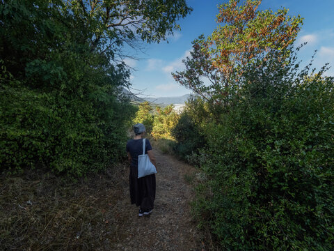 Senior woman hiking on a forest trail