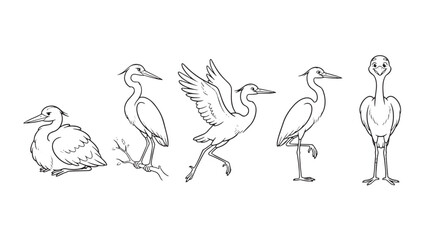 Fototapeta premium Minimalist heron bird line art collection, set of 5 elegant crane vector illustrations, hand drawn stork sketches for nature branding and logos isolated on Transparent Background