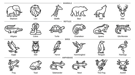 Obraz premium Set of Animal Icons Isolated on Transparent Background