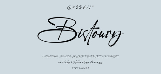 Beauty Luxury font alphabet logo. Typography beautiful fashion elegant classic letters serif italic fonts decorative wedding vintage blossom logos. vector  © ch