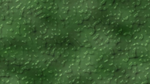 Green abstract texture with floating particles. 2d animation