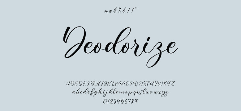 Hand drawn vector alphabet. Modern monoline signature script font. Elegant Signature Font. Best Alphabet Beautiful Calligraphy Signature Font