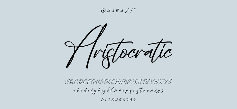 Hand drawn vector alphabet. Modern monoline signature script font. Elegant Signature Font. Best Alphabet Beautiful Calligraphy Signature Font
