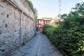 Fototapeta premium Cobblestone pathway leads to a red building surrounded by greenery in a quiet area