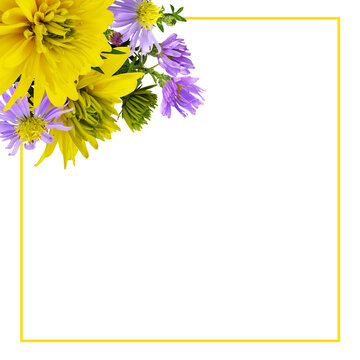 Yellow rudbeckia flowers and buds with purple asters (symphyotrichum novi-belgii) in a corner floral arrangement with frame isolated on white or transparent background