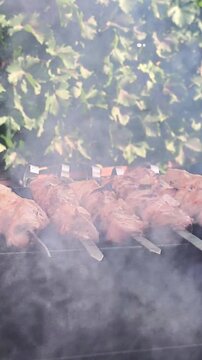 Delicious kebab grills on skewers over charcoal brazier. Sizzling meat creates appetizing party lunch. Tender kebab offers great picnic food. barbecue concept. vertical