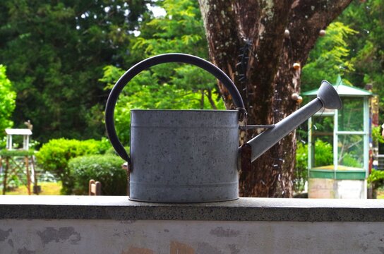 庭の塀に置いているブリキのじょうろ