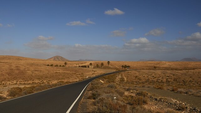 Island interior, barren landscape, asphalt road, palm trees, blue sky, white clouds, Fuerteventura, Canary Islands, Spain
