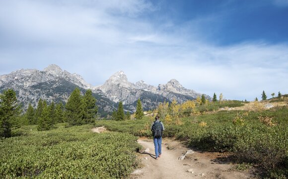 Young man on the hiking trail to Taggart Lake, view of the Teton Range, Grand Teton National Park, Wyoming, USA