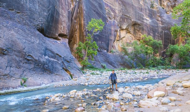 Walker standing in river, Zion Narrows, narrow of the Virgin River, steep faces of Zion Canyon, Zion National Park, Utah, USA