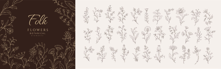 Obraz premium Set of whimsy flowers and brunch. Botanic folk ethnic design elements for decoration print or embroidery