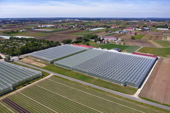 Greenhouses and fields in the vegetable growing area, garlic land or garlic country, Nuremberg, Central Franconia, Franconia, Bavaria, Germany