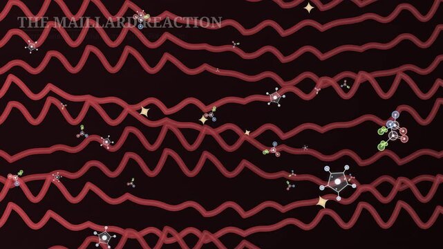 Educational animation illustrating the Maillard reaction, showing the chemical interaction between amino acids and reducing sugars forming flavor compounds and browning