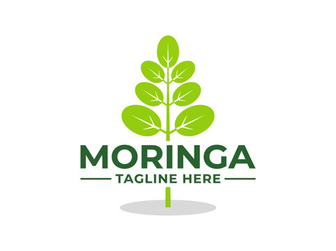 Moringa Leaf Logo Vector Design for Natural Herbal Superfood Branding and Wellness Products