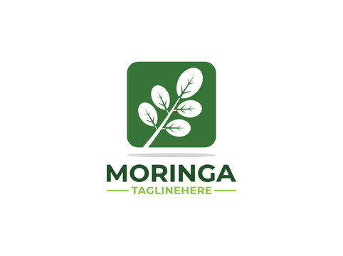 Moringa Leaf Logo Design Template for Organic Health and Wellness Brands