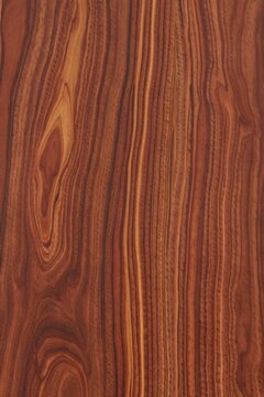 Rich dark brown wooden texture with natural grain patterns and swirling knots, high quality background for interior design and furniture surfaces