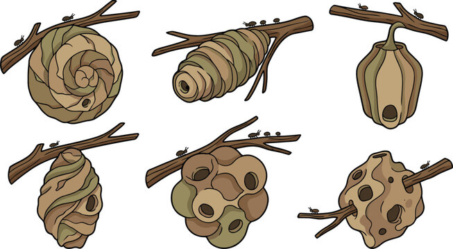 Wasp and Hornet Nest Structures on Tree Branches Vector Illustration Set Featuring Various Hive Shapes and Insect Colony Huts for Pest Control Designs