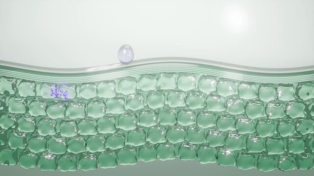 Skin layers cells collagen care hexagon medical bg able to loop endless 4k
