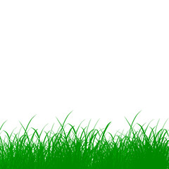 Obraz premium Green grass tuft isolated on transparent background