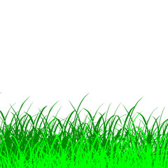 Fototapeta premium Green grass tuft isolated on transparent background