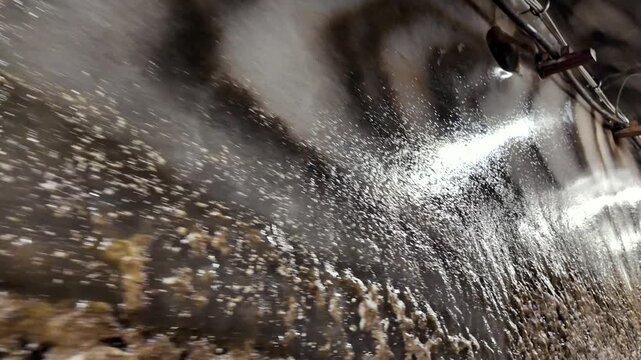 Close-up of crystalline salt wall inside Salina Turda mine in Romania.