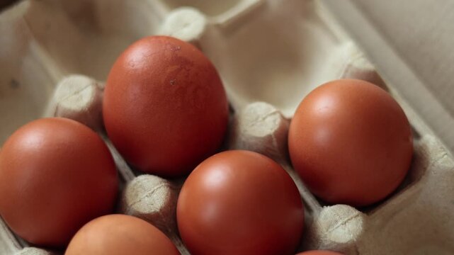 Close-up panning shot of fresh brown chicken eggs resting in a grey recycled cardboard egg carton.