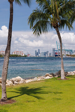 Modern skyline of Miami with towering skyscrapers, tropical vibe, and waterfront views